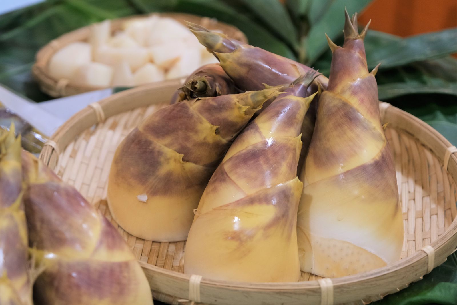 Green Bamboo Shoots