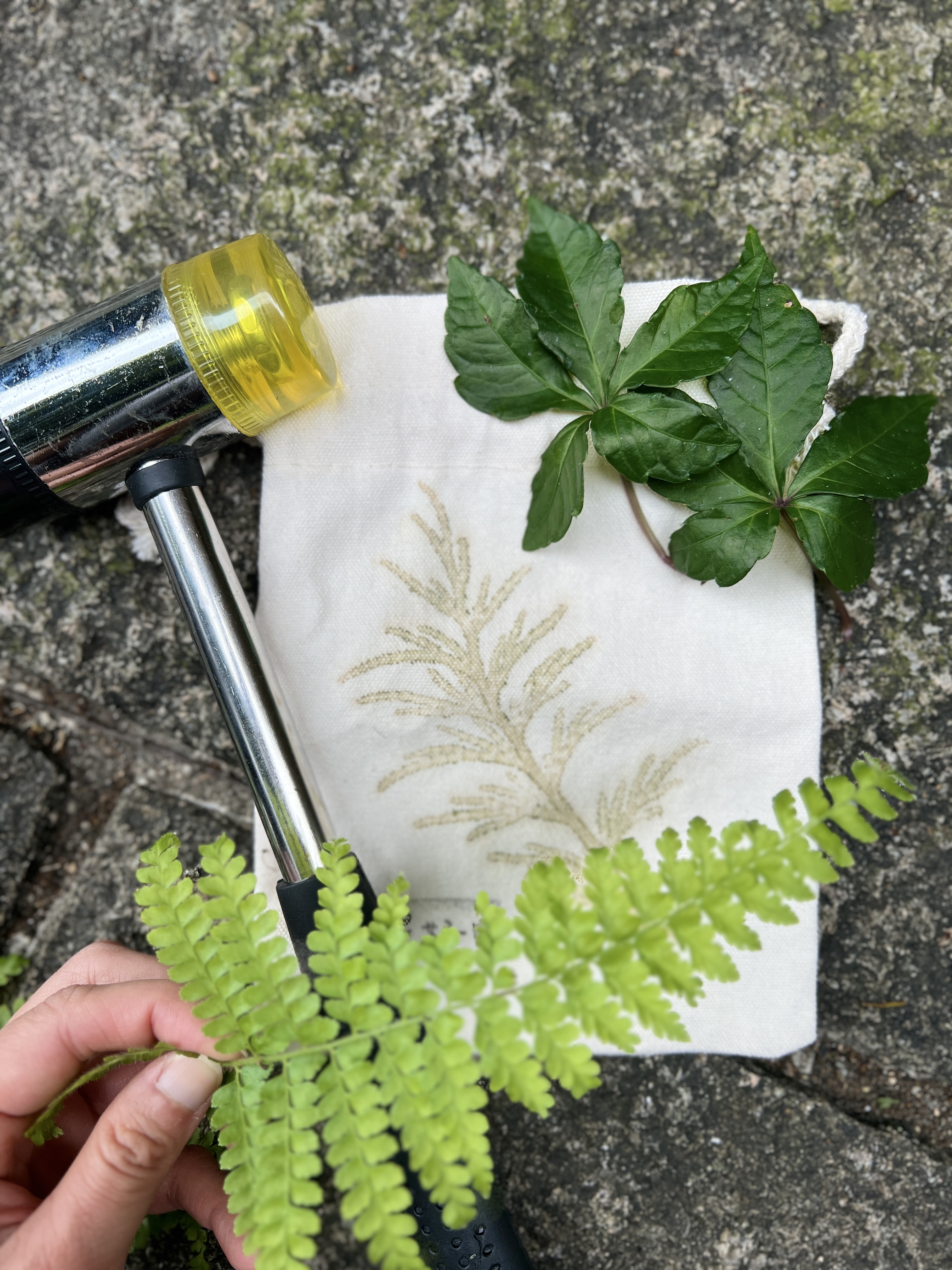 以新北農村社區的在地植物進行拓印,為旅程留下美好的回憶_0