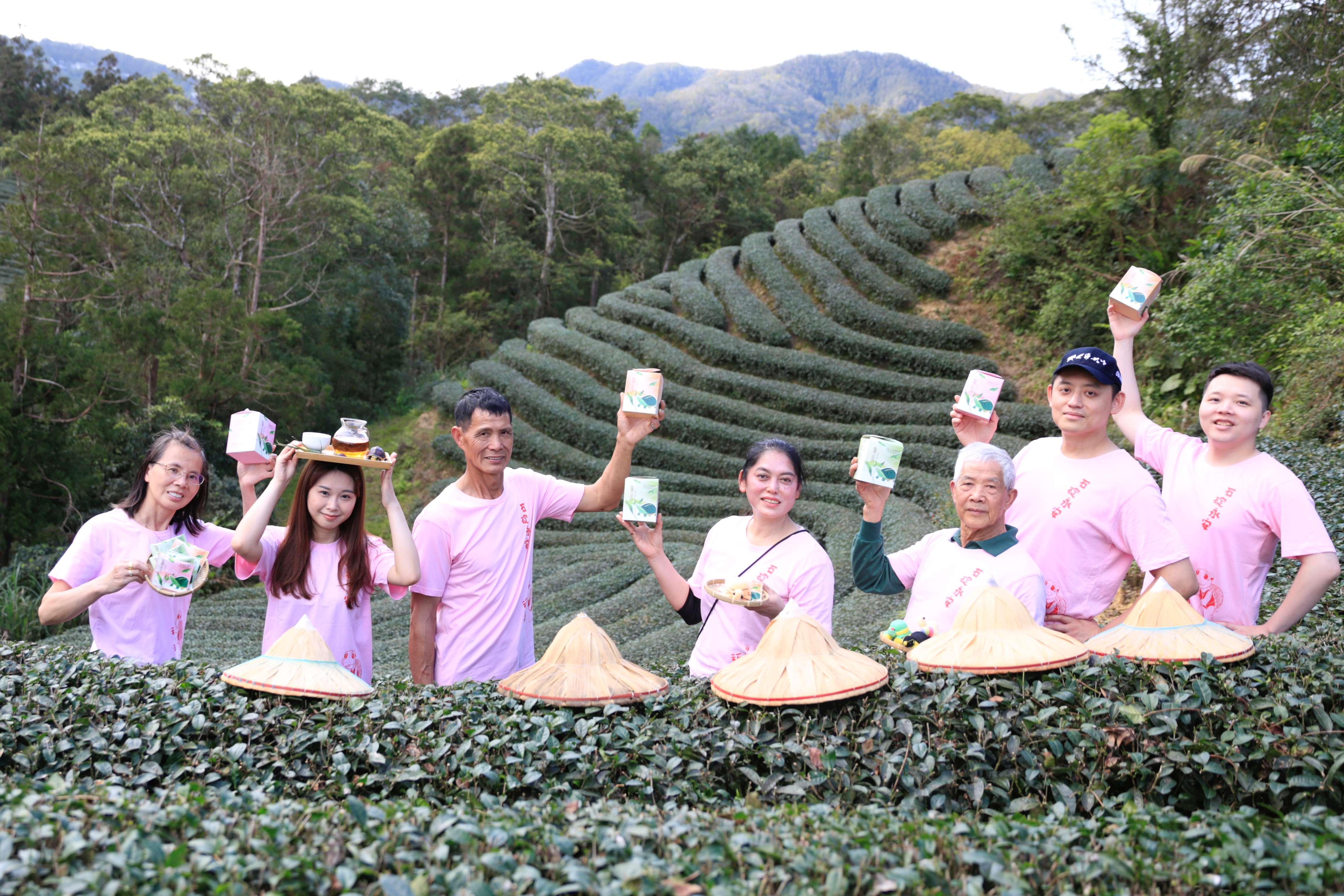 石碇永安社區推出環境友善茶葉-龜茶GoodDay(攝影:蔡和成,照片來源:新北市石碇區永安_0