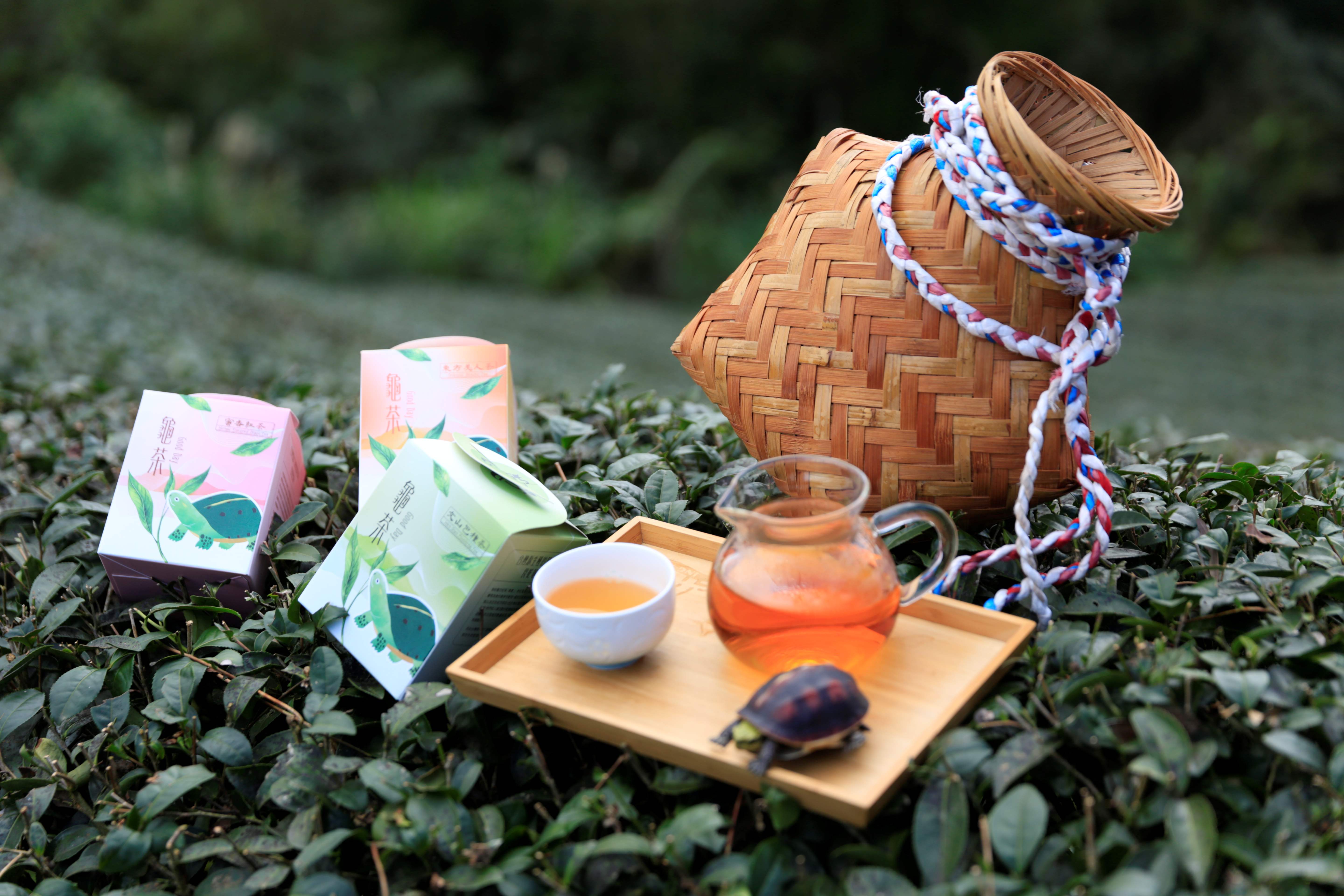 石碇永安社區推出龜茶GoodDay(攝影:蔡和成,照片來源:新北市石碇區永安里辦公處)_0