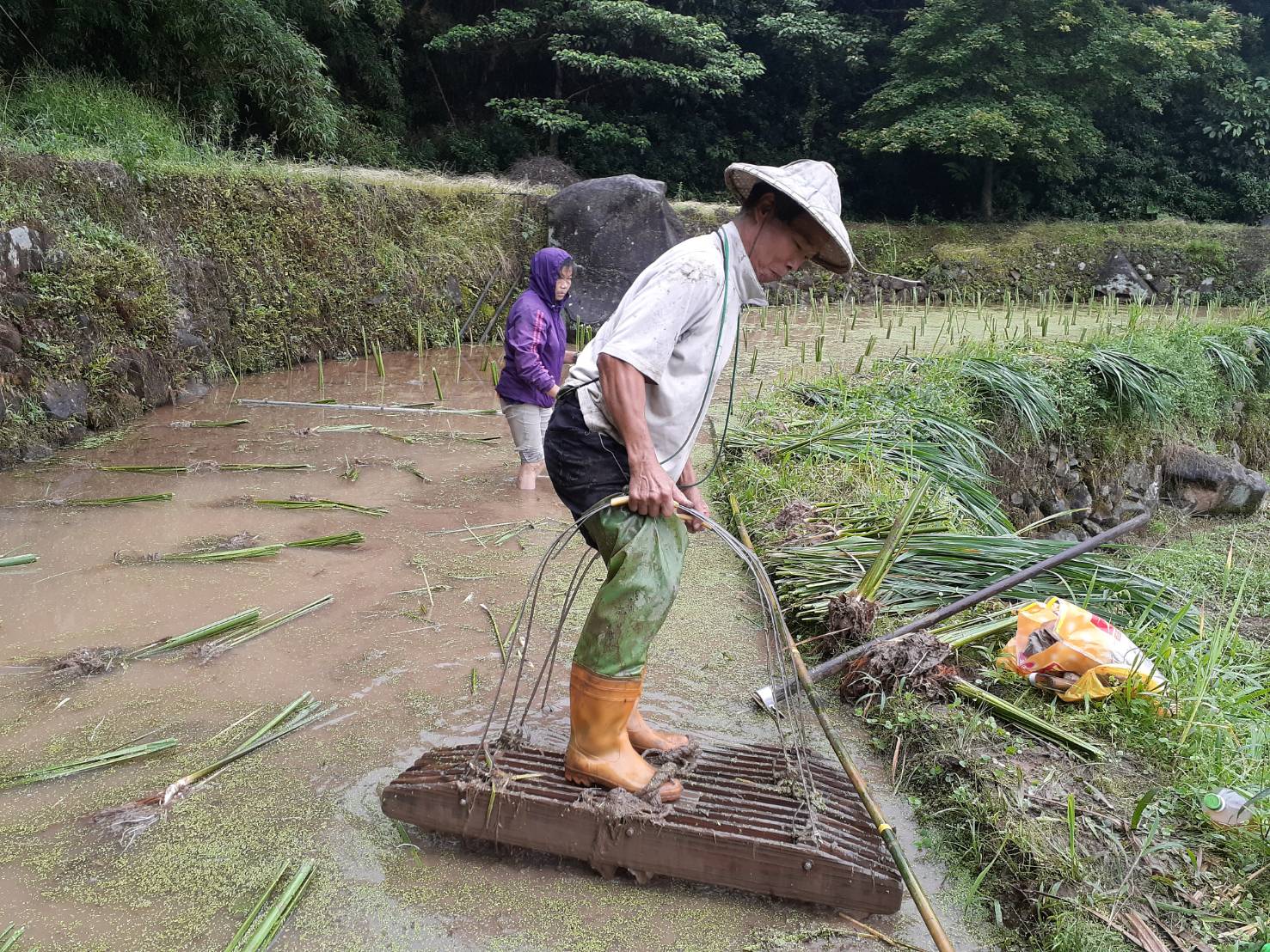 透過生態薪水鼓勵農民從事友善農耕、棲地管理及生態紀錄